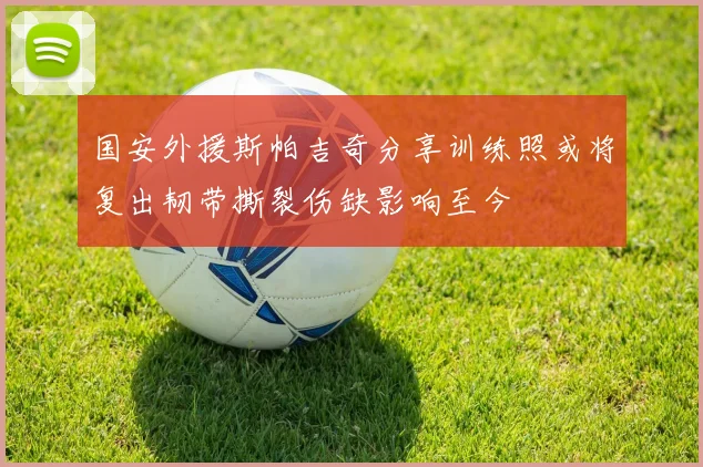 国安外援斯帕吉奇分享训练照或将复出韧带撕裂伤缺影响至今