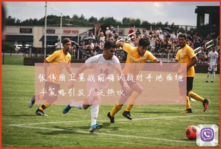 张伟丽卫冕战前确认新对手地面缠斗策略引发广泛热议